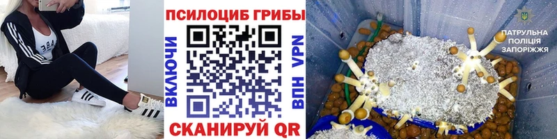 где купить наркоту  Петухово  Галлюциногенные грибы MAGIC MUSHROOMS 